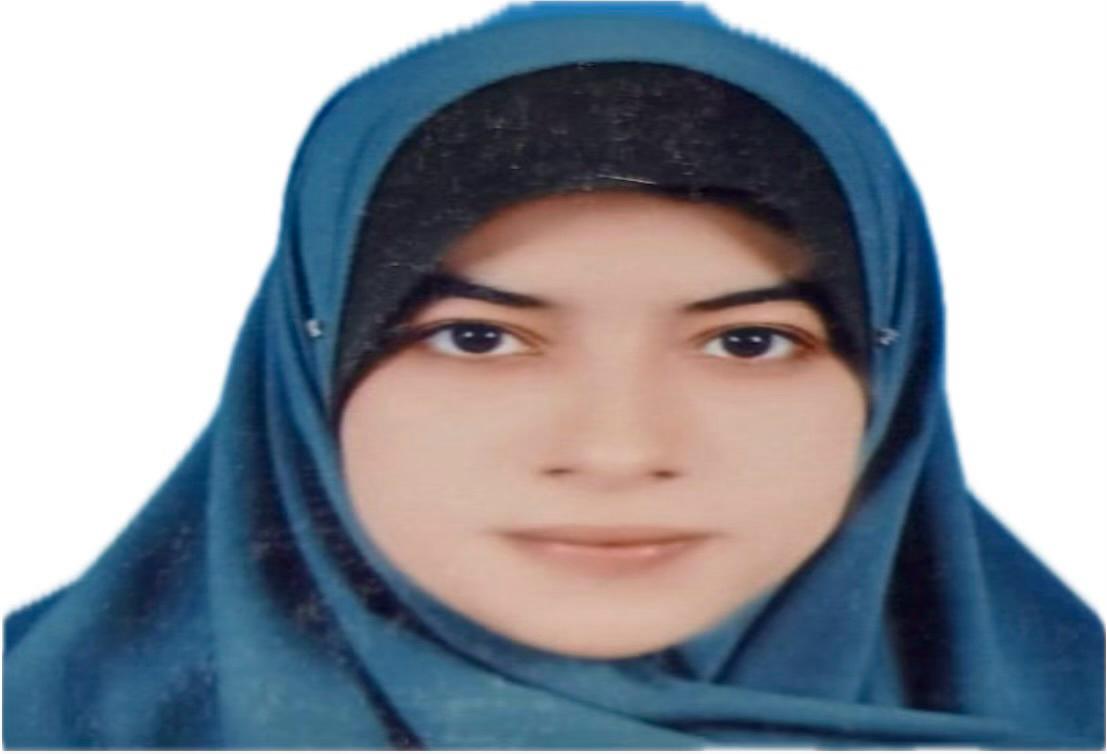 shimaa Salah Elsayed